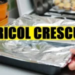 Pericolul din bucătărie. Produsul pe care toate gospodinele îl folosesc, dar care e toxic