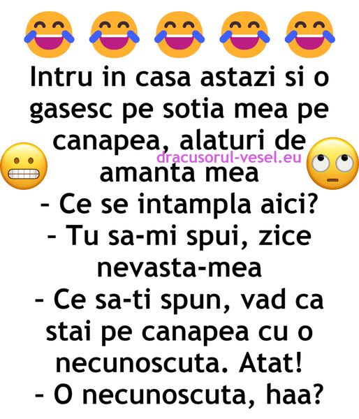 Intru in casa astazi si o gasesc pe sotia mea pe canapea